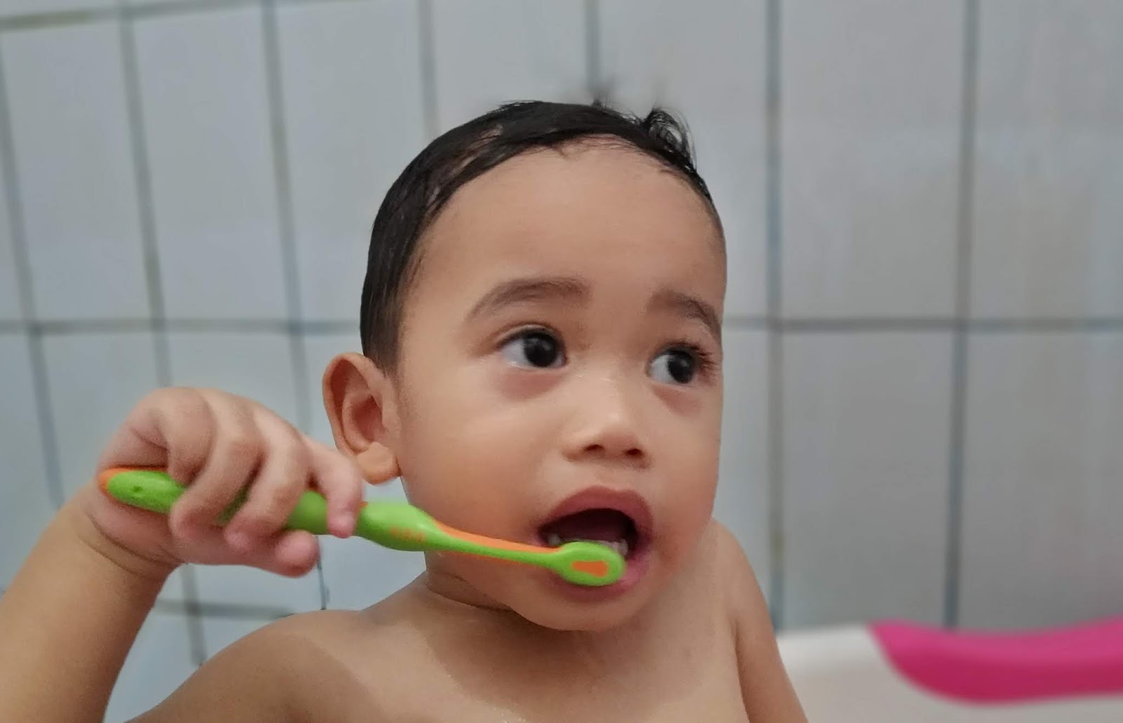  Cara  Mengajarkan Sikat Gigi  Pada Anak  One Taste Millions 