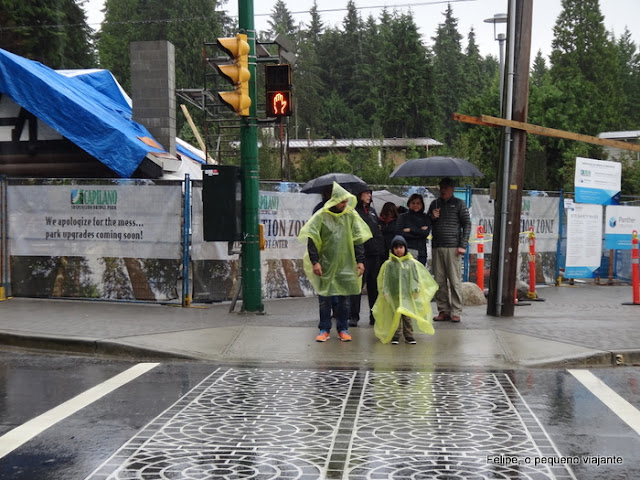 Capilano Bridge Park