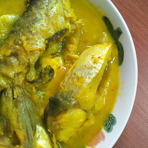 jenis ikan air tawar