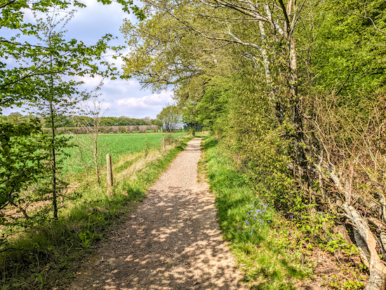 The bridleway heading NW to the left of Stocking Spring Wood