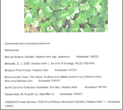 references in blog on English ivy