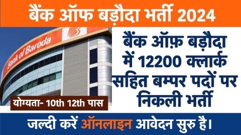 Bank Of Baroda Vacancy 2024