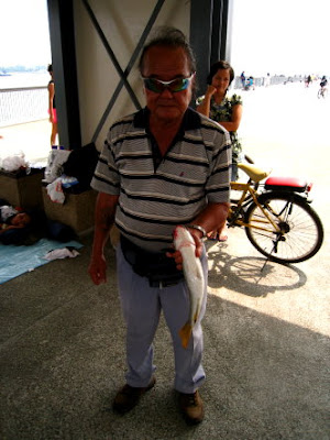 Squaretail Mullet also known as Chow Orh 草乌, 鯔魚 or Belanak Caught By Ah Cheng weighing 1.5kg plus at Woodland Jetty Fishing Hotspots was created to share with those who are interested in fishing on tips and type of fishes caught around Woodland Jetty Fishing Hotspots.