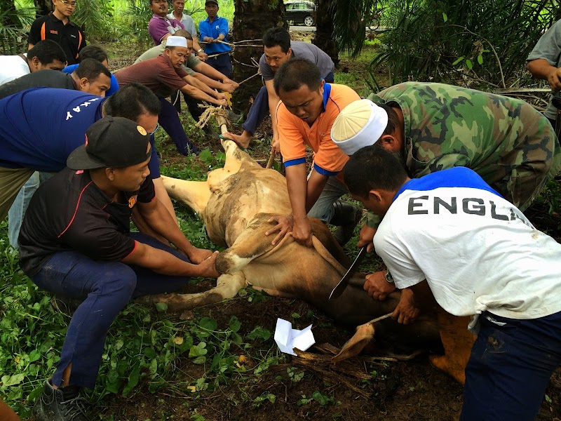 25+ Gambar Tentang Suasana Hati Kita Disebut Gambar