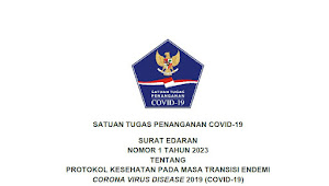 Inilah Ketentuan Satgas tentang Protokol Kesehatan pada Masa Transisi Endemi COVID-19