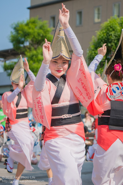 高円寺パル商店街、いろは連の阿波踊りの写真 2