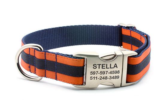 WinnerDogFinds: Stylin' Personalized Dog Collars and ID Tags