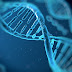 HIV CURE FINALLY ARRIVES