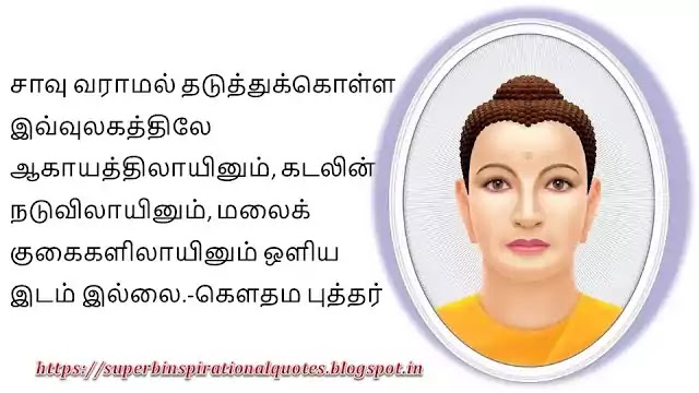 புத்தர் சிந்தனை வரிகள் 52