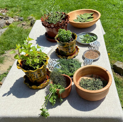 A table set outdoors with a plain woven cloth holds clay pots, wooden bowls, and pewter porringers with various green herbs growing or harvested.