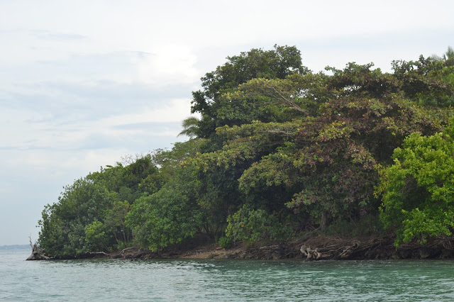 paket tour tanjung lesung