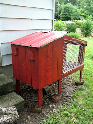 the rabbit hutch is complete, rear door view