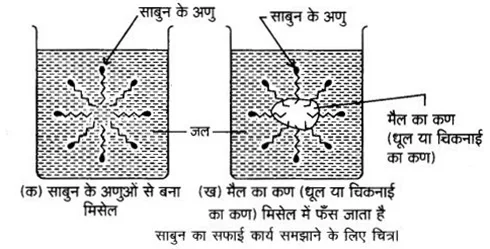 Solutions Class 12 रसायन विज्ञान-II Chapter-16 (दैनिक जीवन में रसायन)