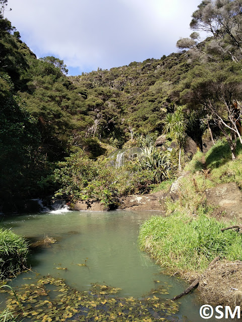 Photo de la chute de Wainamu Waitakere Regional Park Auckland Nouvelle-Zélande