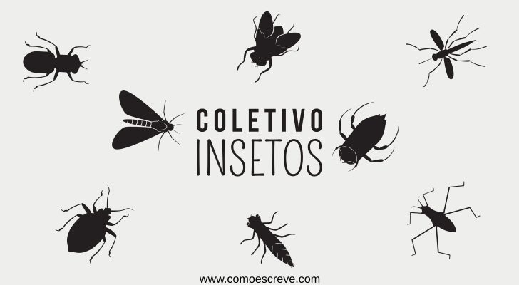 Coletivos de insetos: Exemplos e exercício