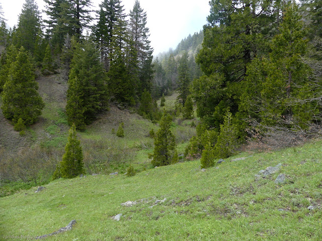 water in a grassy valley