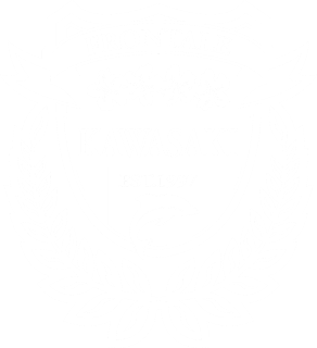 Kawasaki Frontale Logo Vector Format (CDR, EPS, AI, SVG, PNG)