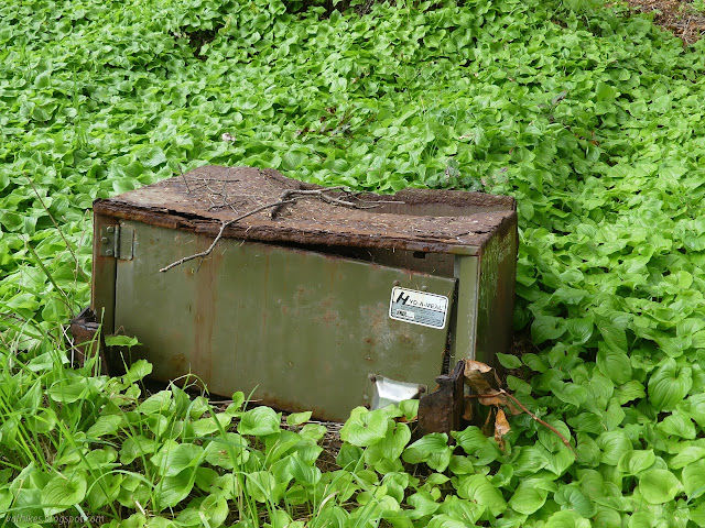 broken and rusted out bear box