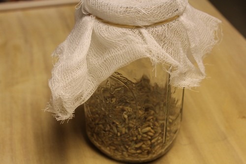 sprouted-rye-bread02
