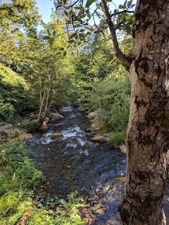 Deer Creek, Nevada City, California