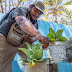 Certifica SSY Cuatro Entornos Libres de Criaderos de Mosquitos en Sucilá