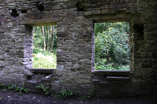 <img src="Ashworth Mill.jpeg" alt=" images of  mill ruins">