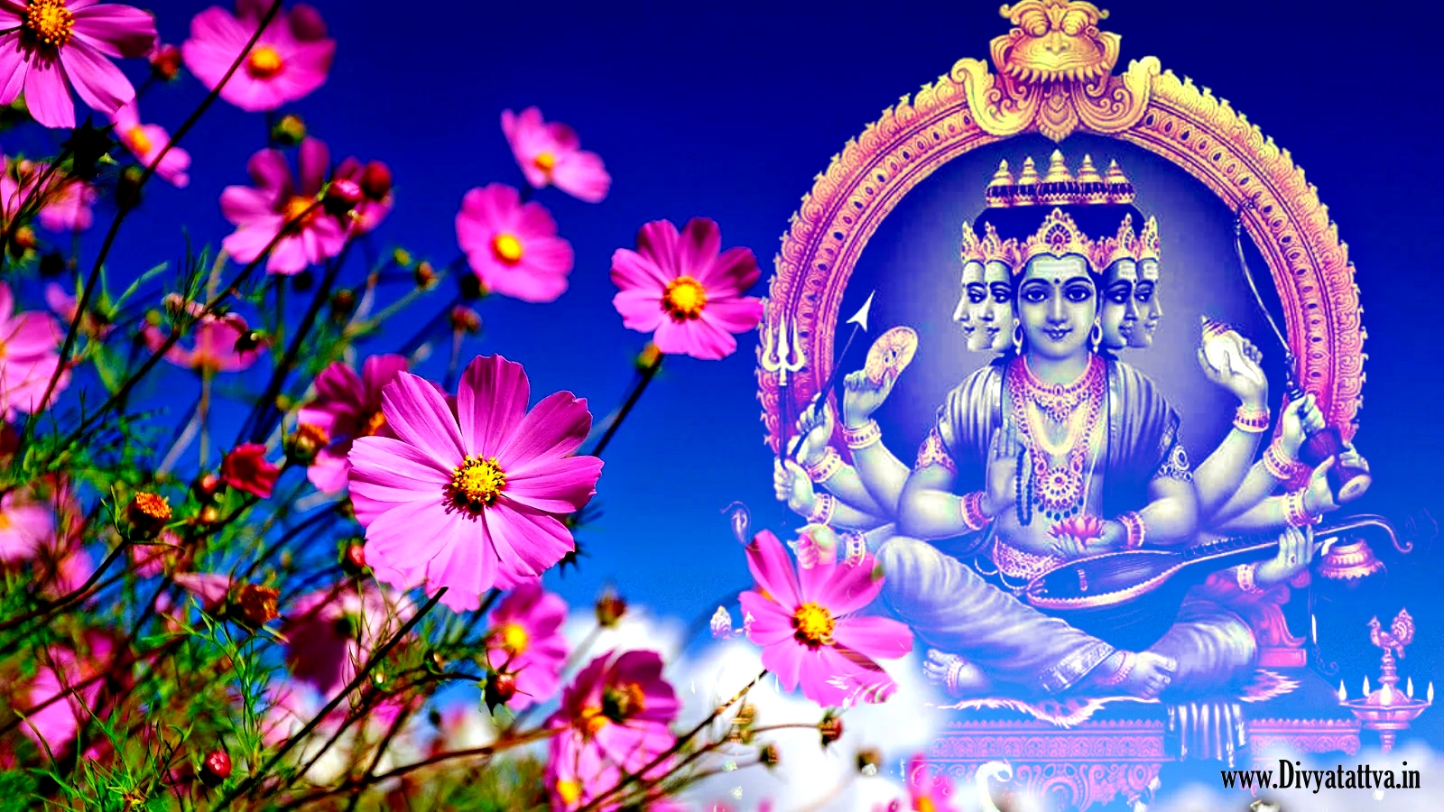 Lord Medha Dakshinamurthy 4K HD Wallpapers Photos Pictures for ...
