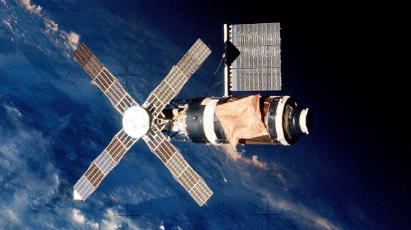 The Skylab Stowaway