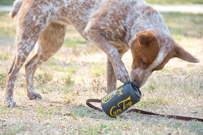 Tough rubber chew toy