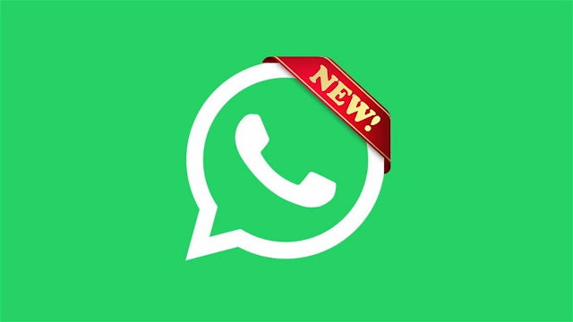 أخيرًا تبدأ واتساب | WhatsApp في اختبار ميزة الحسابات المتعددة المطلوبة بشدة