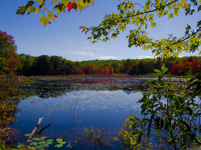 Pond along The Mattatuck Trail - Plymouth CT