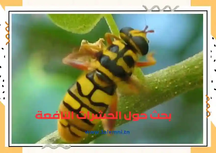 تحميل بحث حول الحشرات النافعة