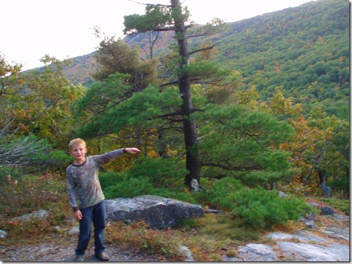 Bald Mountain 009