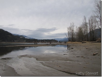 Harrison River