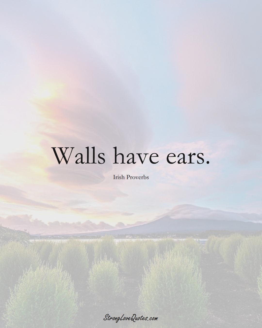 Walls have ears. (Irish Sayings);  #EuropeanSayings