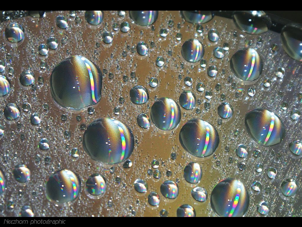Water drops on a CD ROM