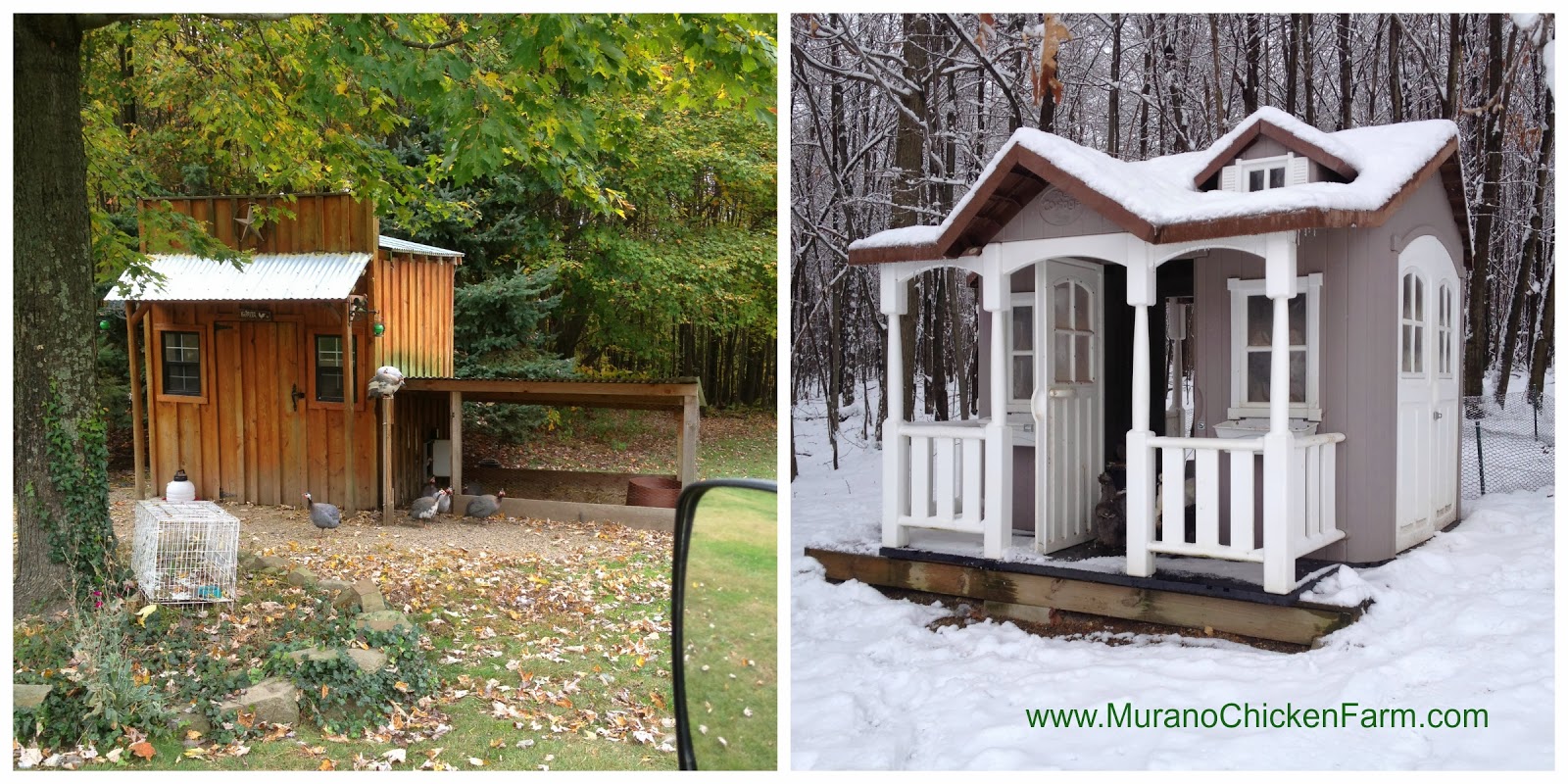 Murano Chicken Farm: Winter chicken coops: the good, bad and ugly