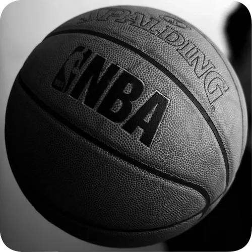 nba 농구공