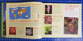 How to grow carnivorous plants introduction for children text blocks and images