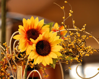 Sunflower Background