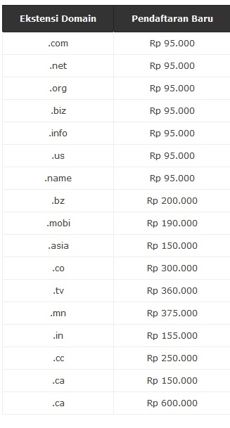 Domain Internasional