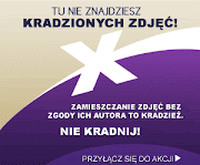 Na tym blogu nie znajdziesz kradzionych zdjęć