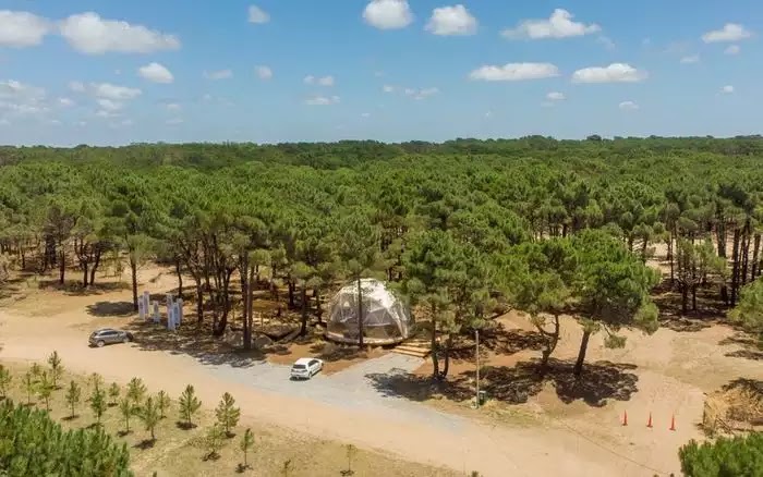 BOSQUES urbanizacion Pinamar Norte