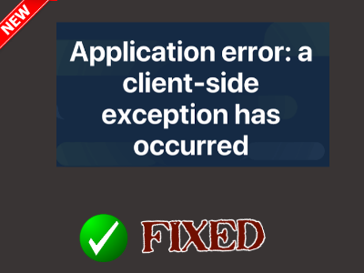 application error client side exception