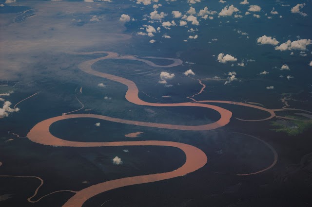 What is the river that flows through the world's largest forest?