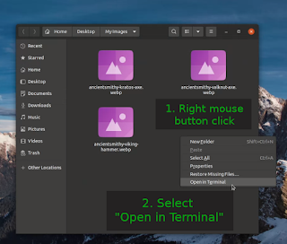 select open in terminal menu item in ubuntu linux