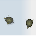 Menambahkan Widget Hewan Peliharaan Di Blog