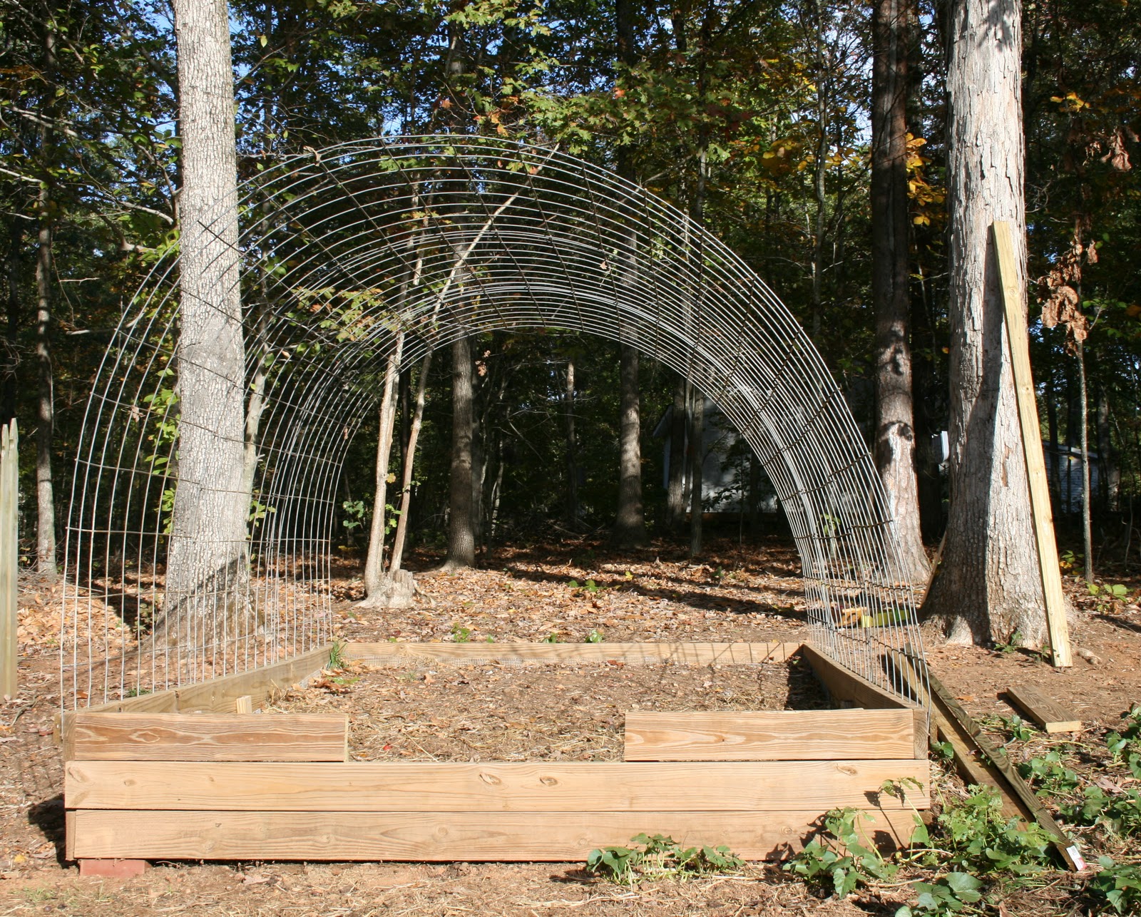 Tiny Homestead: Cattle Panel Structures and Snow Loads