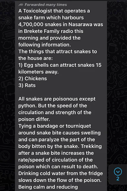 Fact-Check: Are Wall Geckos Poisonous and Deadlier than Snakes?