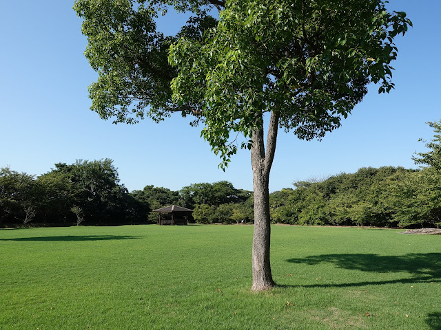 弥生の館むきばんだの芝生け広場